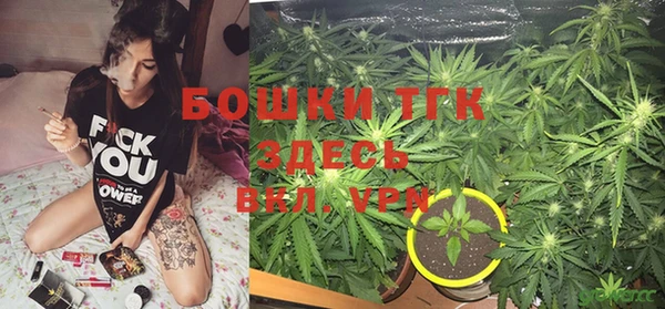 тгк Армянск