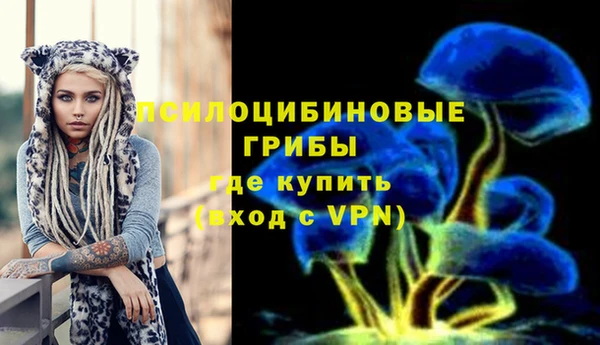 тгк Армянск