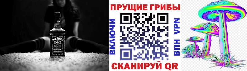 Псилоцибиновые грибы прущие грибы Арсеньев