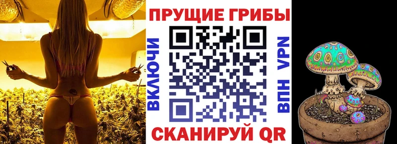 Псилоцибиновые грибы Magic Shrooms  Арсеньев 